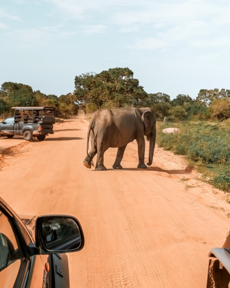 EM Ceylon Tours Destinations