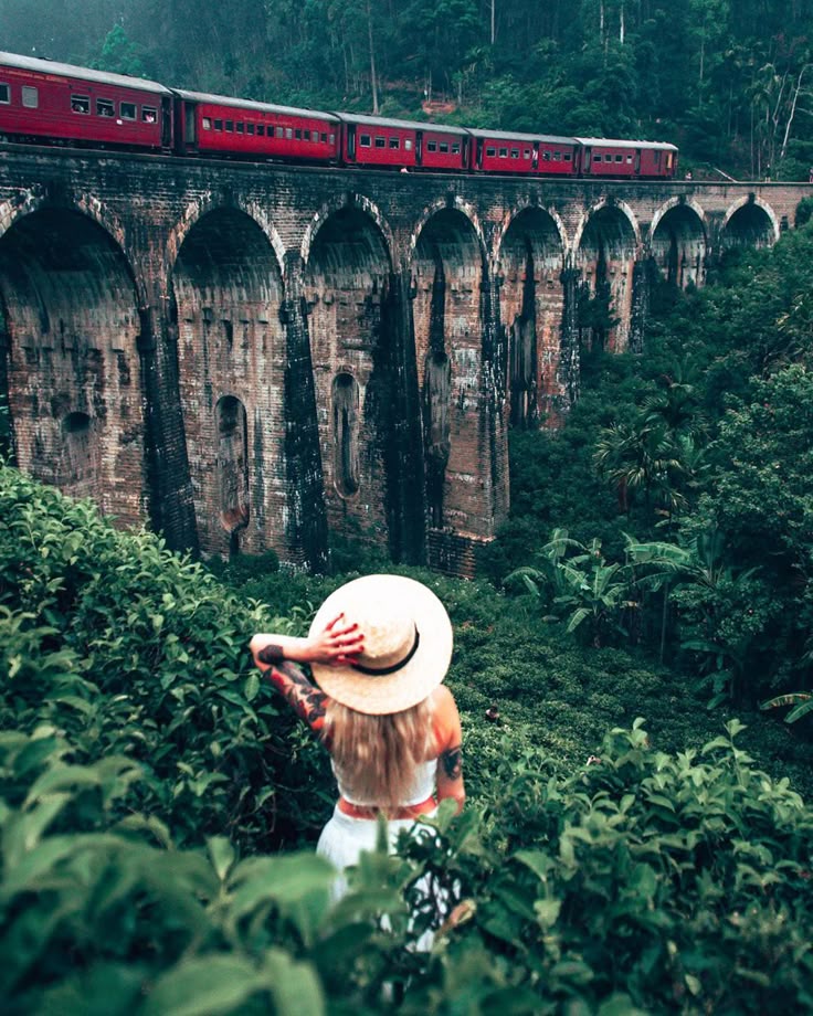EM Ceylon Tours Activities